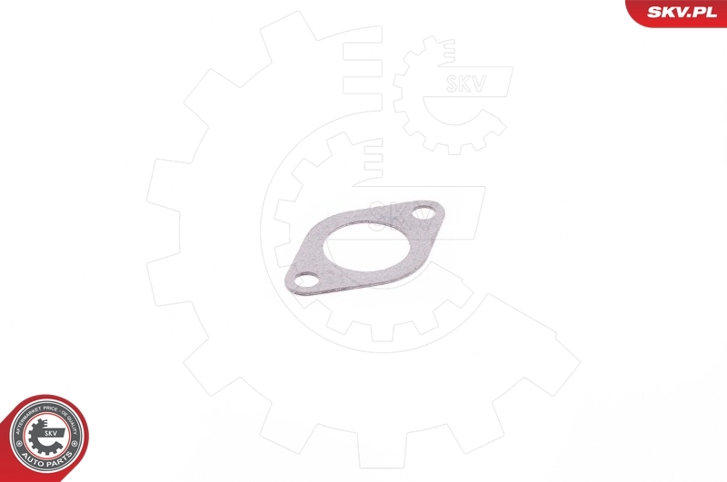 Gasket, EGR valve